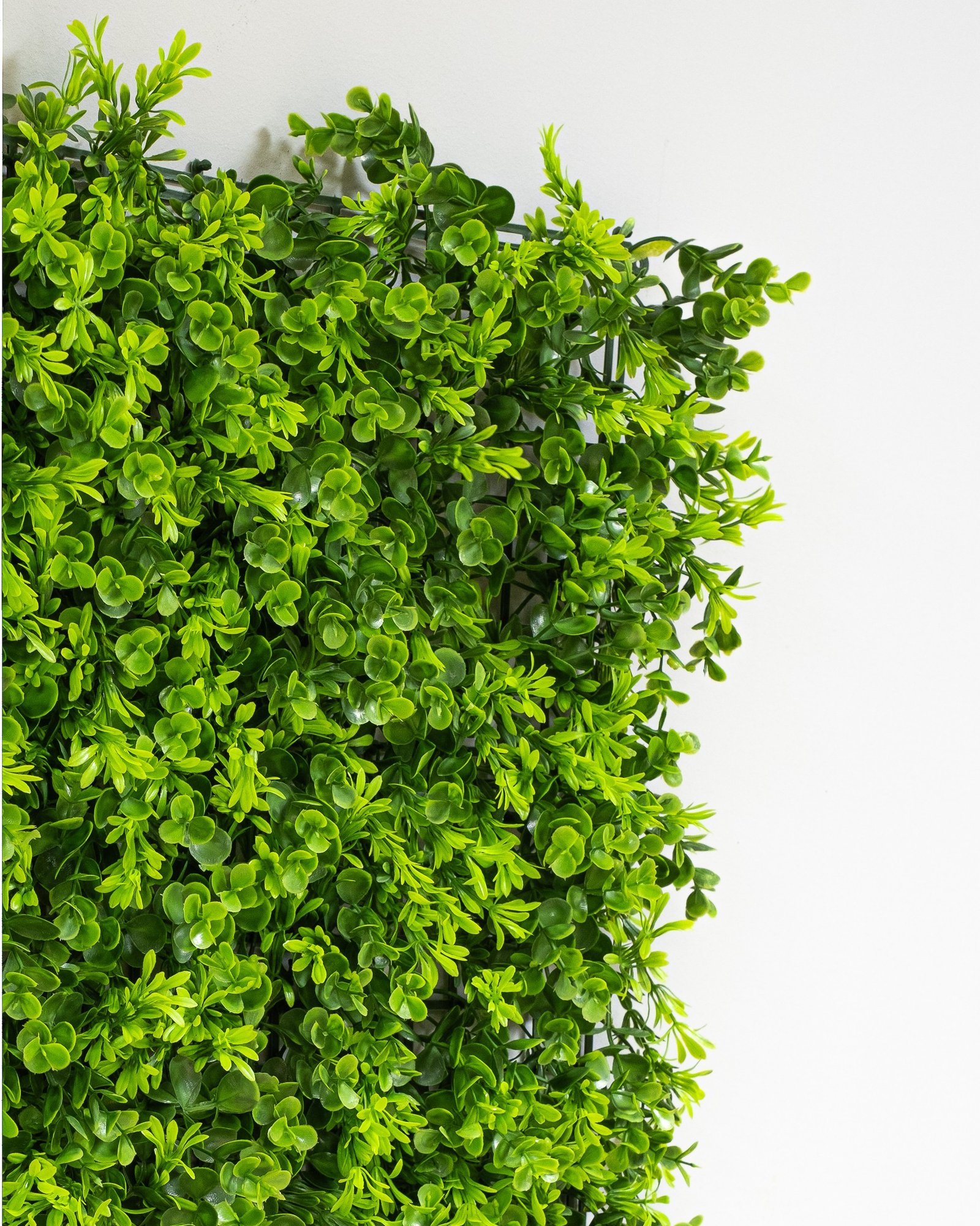 Konstgjord växtvägg Eukalyptus 50x50 cm UV 5 Konstgjord växtvägg Eukalyptus 50x50 cm UV - Bild 5