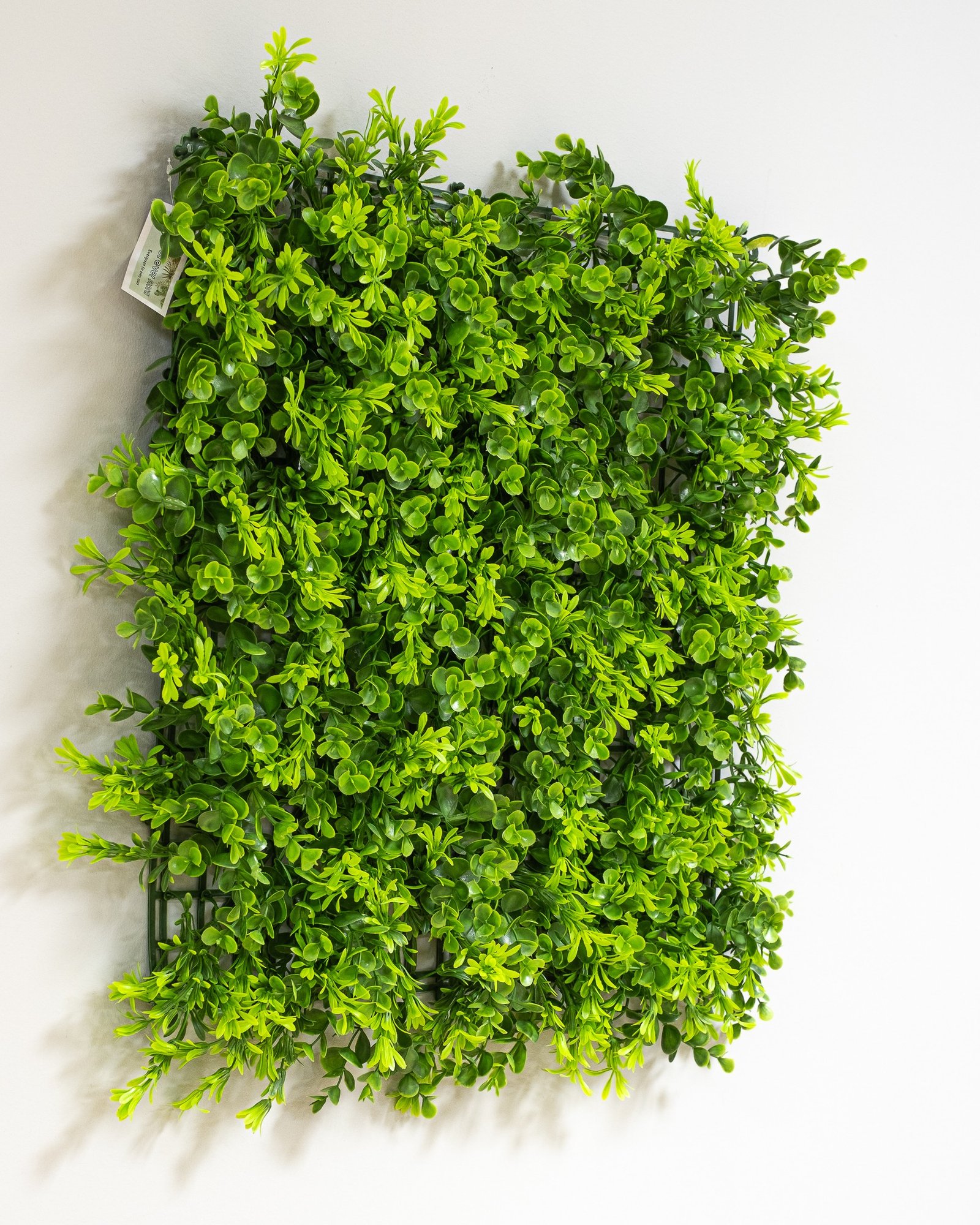 Konstgjord växtvägg Eukalyptus 50x50 cm UV 4 Konstgjord växtvägg Eukalyptus 50x50 cm UV - Bild 4