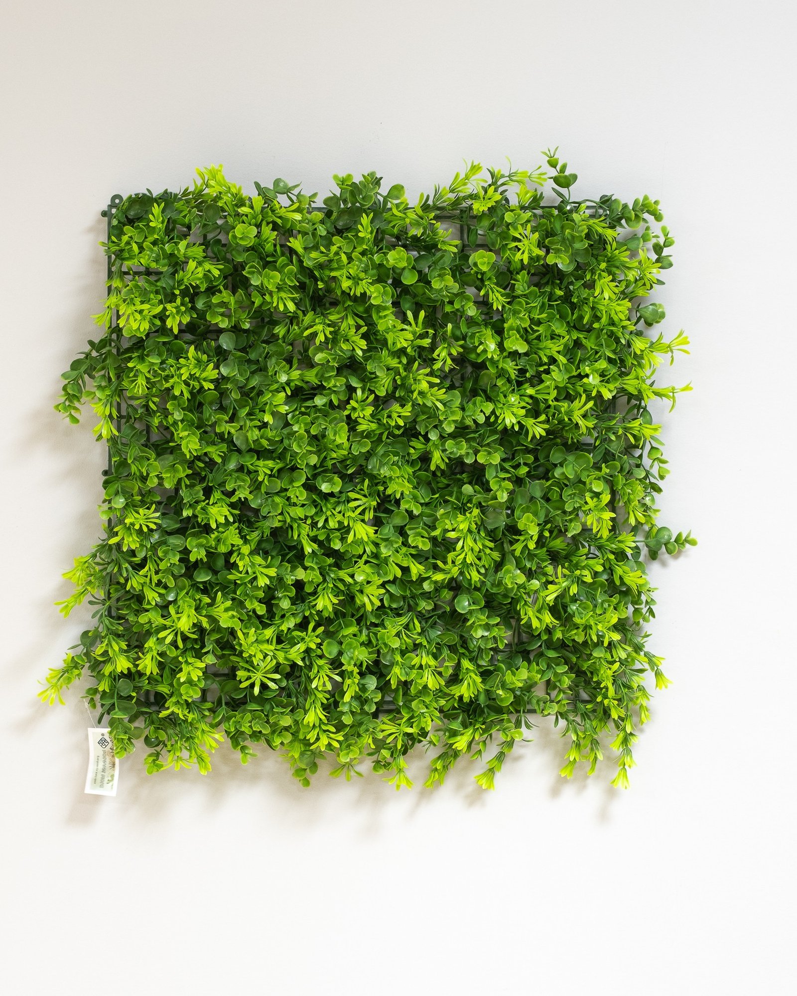 Konstgjord växtvägg Eukalyptus 50x50 cm UV 1 Konstgjord växtvägg Eukalyptus