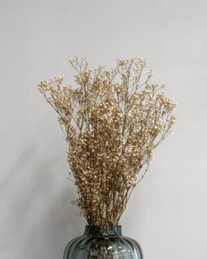 Konserverade Slöjblommor – Gypsophila - Bild 4