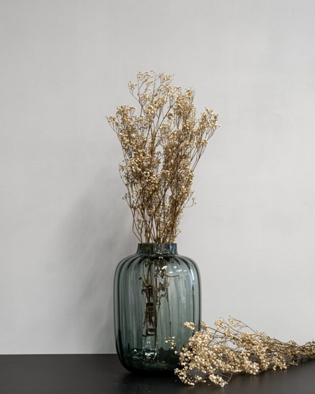 Hur Torkar Man Blommor Hemma? Enkel Steg-för-Steg Guide Slojblommor Gypsophila 13