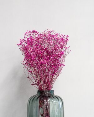 Konserverade Slöjblommor – Gypsophila - Bild 8