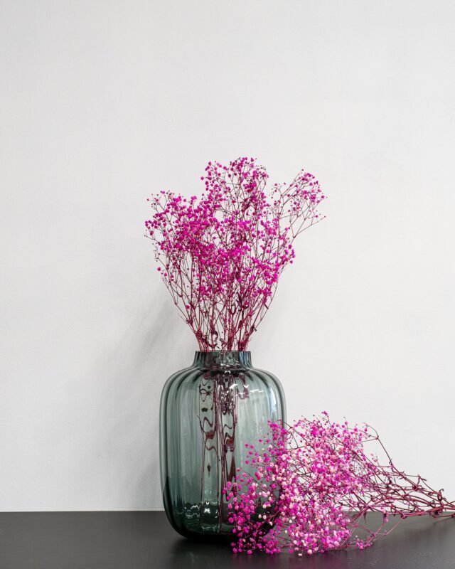 Hur Länge Håller Torkade Blommor? Slojblommor Gypsophila 4