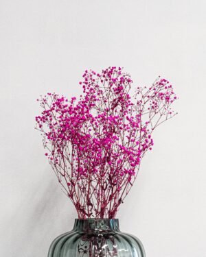 Konserverade Slöjblommor – Gypsophila - Bild 6