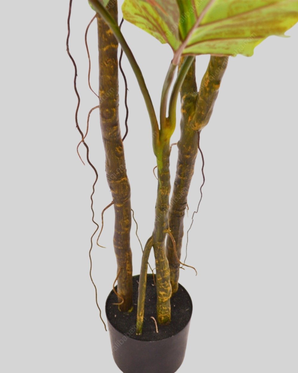 Konstväxt Colocasia träd - Med Plastkruka 4 Konstväxt Colocasia