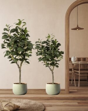 Konstgjord Ficus träd- Med Plastkruka 6 Konstgjord Ficus träd