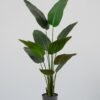 Konstgjord Strelitzia