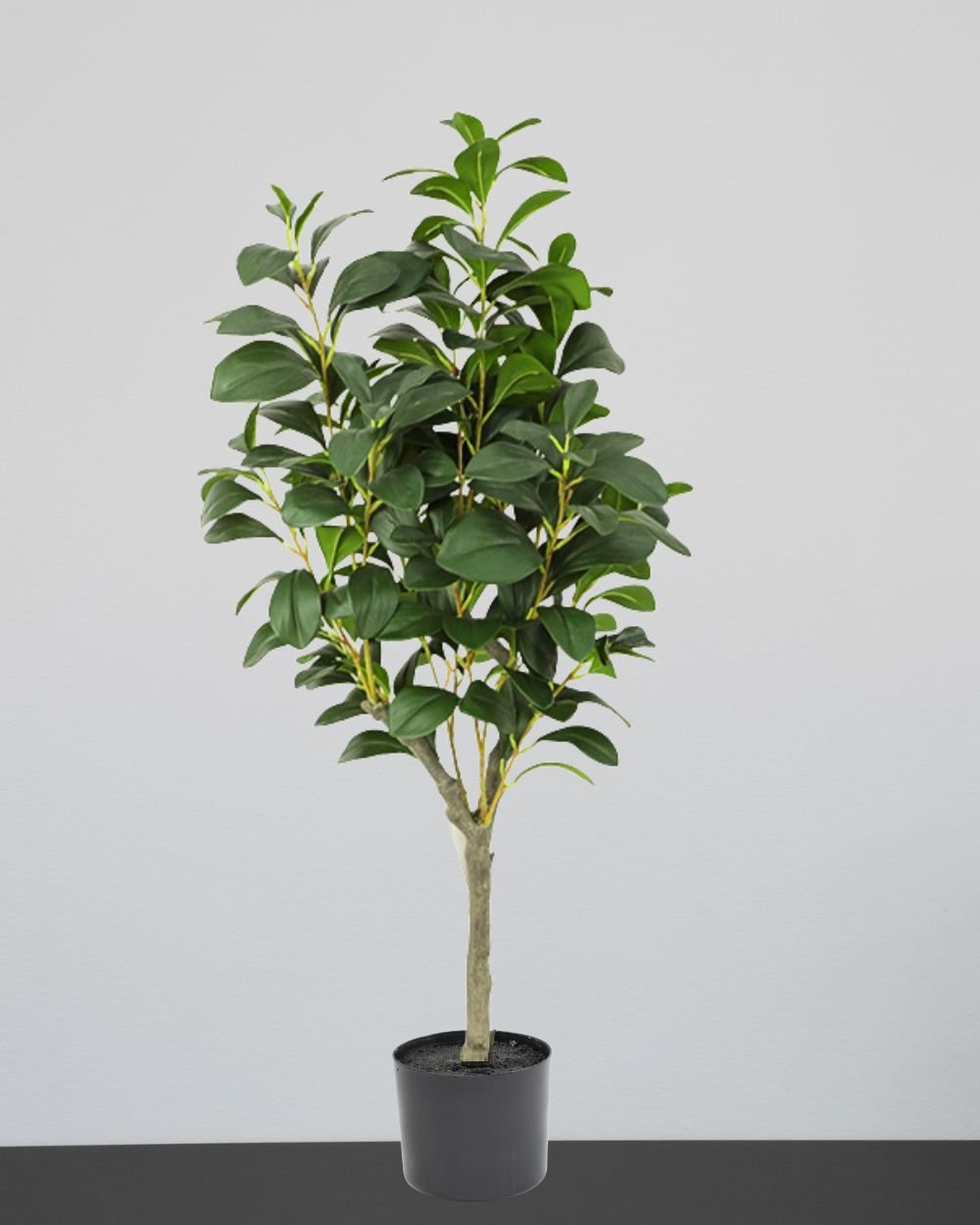 Konstgjord Ficus träd- Med Plastkruka 2 Konstgjord Ficus träd
