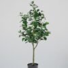 Konstgjord Ficus träd