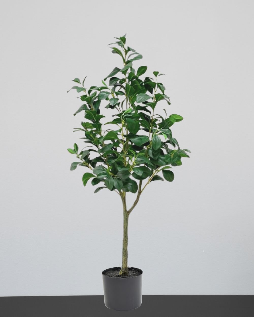 Konstgjord Ficus träd- Med Plastkruka 1 Konstgjord Ficus träd