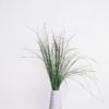 Björnlilja (Bear Grass)