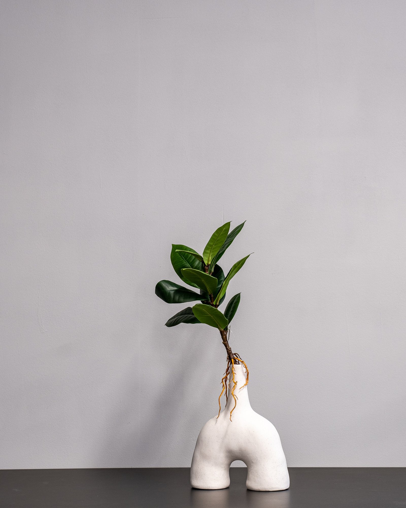 Konstväxt Ficus Obliqua - 35x23 cm Flexibel Växtdekoration 1 Konstväxt Ficus Obliqua