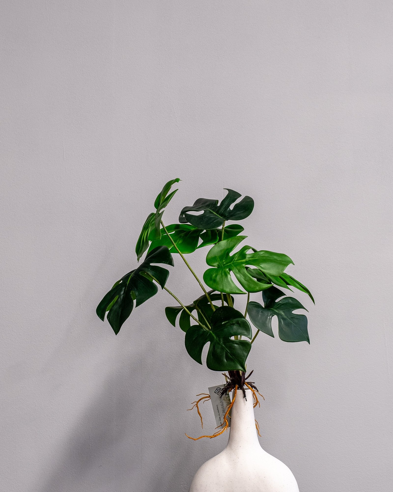 Konstväxt Monstera - 35 cm Flexibel Bladdekoration 2 Konstväxt Monstera