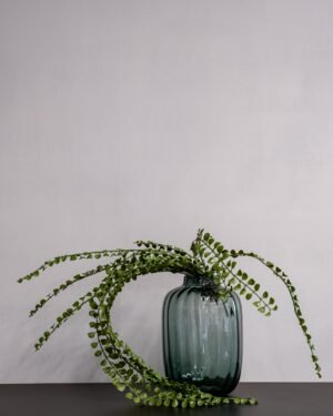 Konstväxt Pilea bukett 