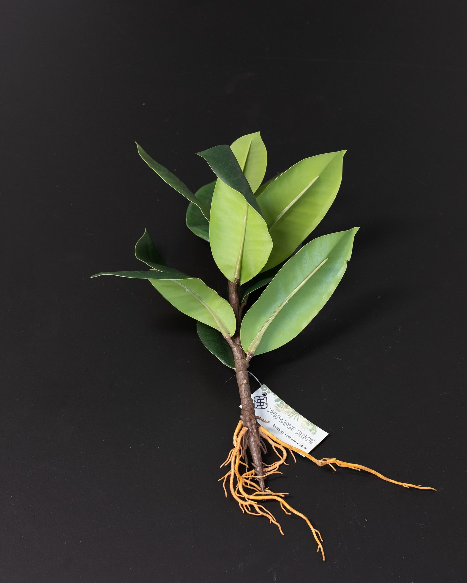 Konstväxt Ficus Obliqua - 35x23 cm Flexibel Växtdekoration 3 Konstväxt Ficus Obliqua - 35x23 cm Flexibel Växtdekoration - Bild 3