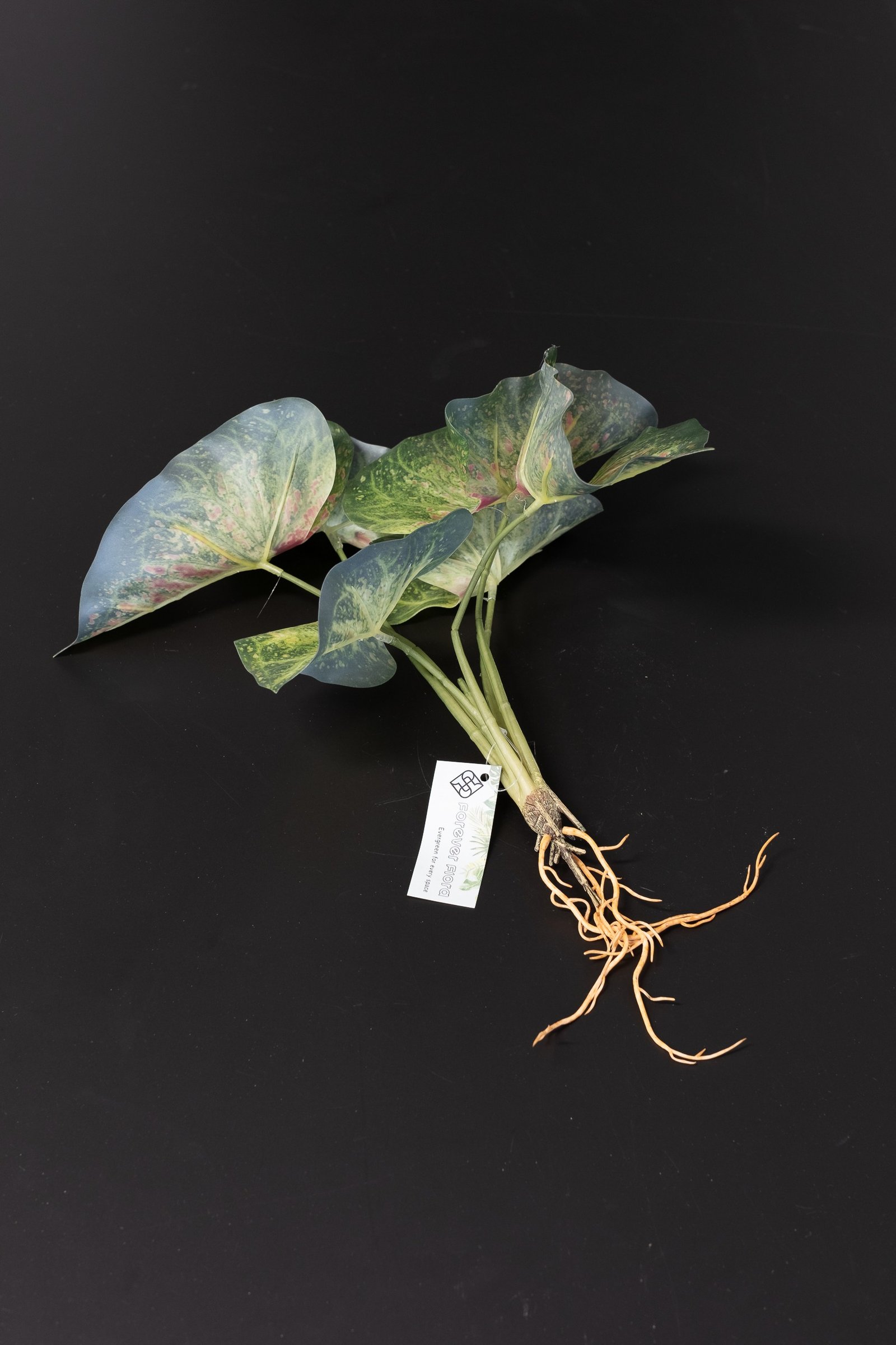 Konstväxt Caladium - 30 cm Flexibel Bladslinga 3 Konstväxt Caladium