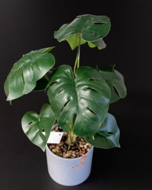Konstgjord Monstera Krukväxt