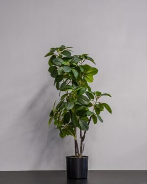Konstgjord Ficus krukväxt i  Melaminkruka - 70 cm Höjd - Bild 3