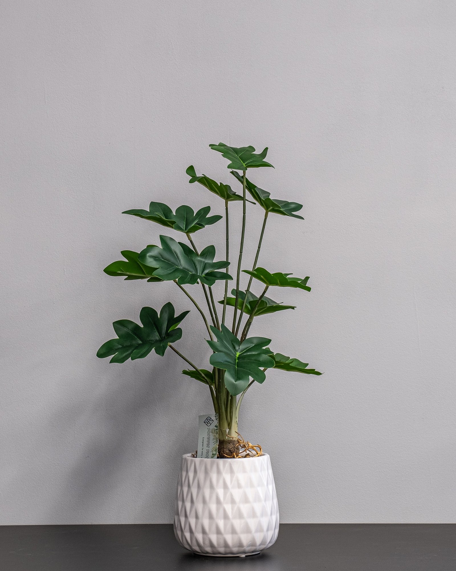 Konstgjord Philodendron krukväxt – med Keramikkruka - 60 cm Höjd 2 Konstgjord Philodendron krukväxt