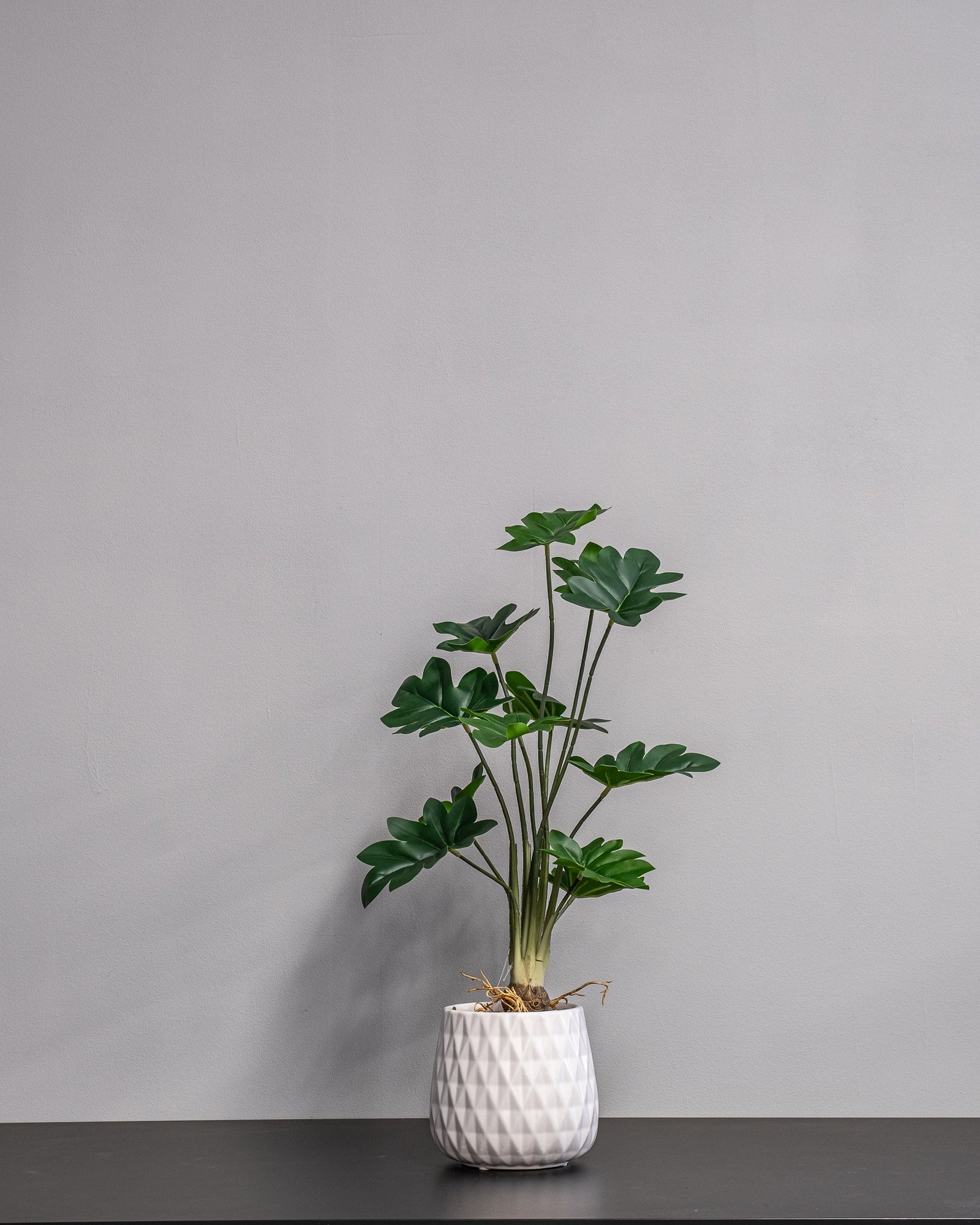 Konstgjord Philodendron krukväxt – med Keramikkruka - 60 cm Höjd 3 Konstgjord Philodendron krukväxt