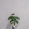 Konstgjord Monstera Krukväxt