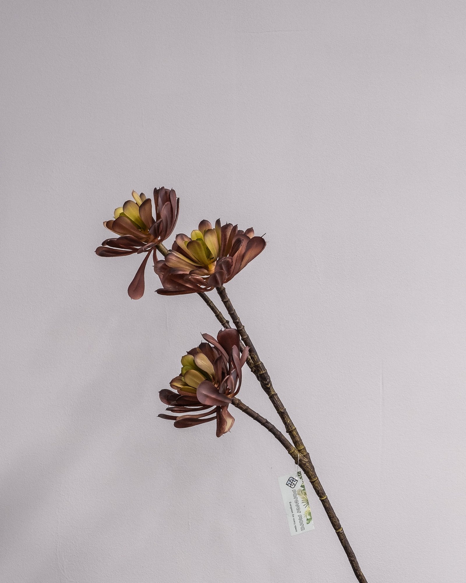 Konstgjord Lotusblomma lila – Naturtroget Bladverk 79 cm 2 Konstgjord Lotusblomma lila – Naturtroget Bladverk 79 cm - Bild 2