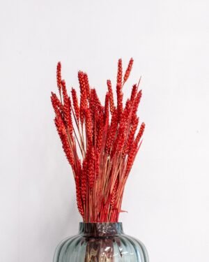 Vete - Torkade Blommor - Bild 18