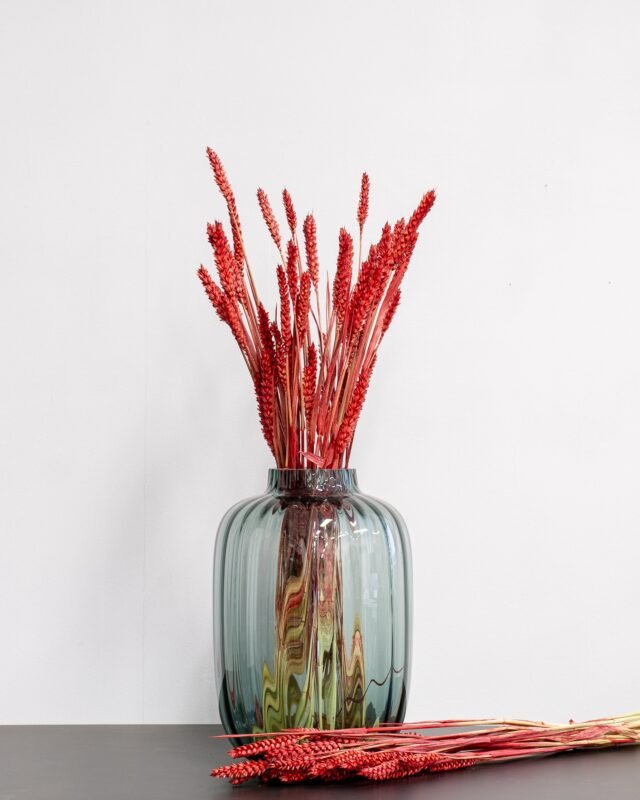 Inredning med Torkade Blommor Vete rod 4