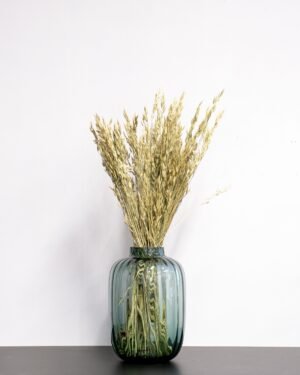 Råglosta (Bromus secalinus) – Torkad, Naturfärgad, 60 cm - Bild 3