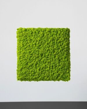 Alternative view of Mosspanel Kvadrat - Ljuddämpande Väggpanel med Äkta Renlav