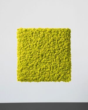 Mosspanel Kvadrat - Ljuddämpande Väggpanel med Äkta Renlav - Bild 4