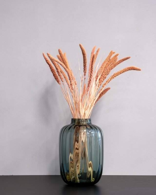 Hur Torkar Man Blommor Hemma? Enkel Steg-för-Steg Guide Durraslaktet Sorghum 1