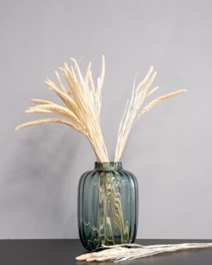 Durrasläktet, Sorghum  Torkade Blommor - Bild 11