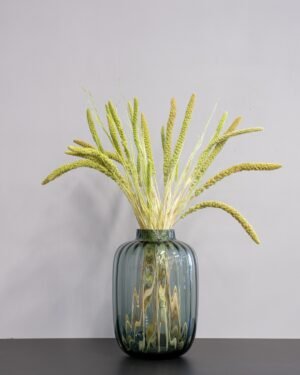 Durrasläktet, Sorghum  Torkade Blommor - Bild 9