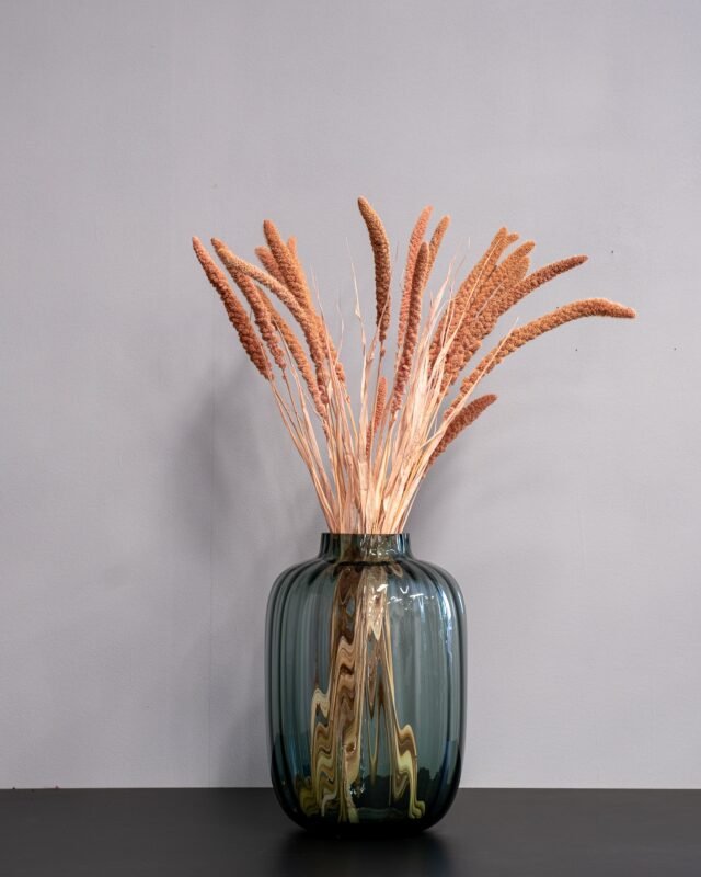 Köpa Torkade Blommor – Komplett Guide Durraslaktet Sorghum 2