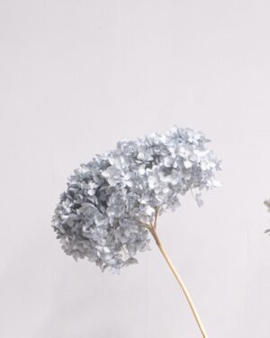 Eksklusiv Konserverad Hortensia Lång – Naturtrogen Skönhet (60 cm) - Bild 5