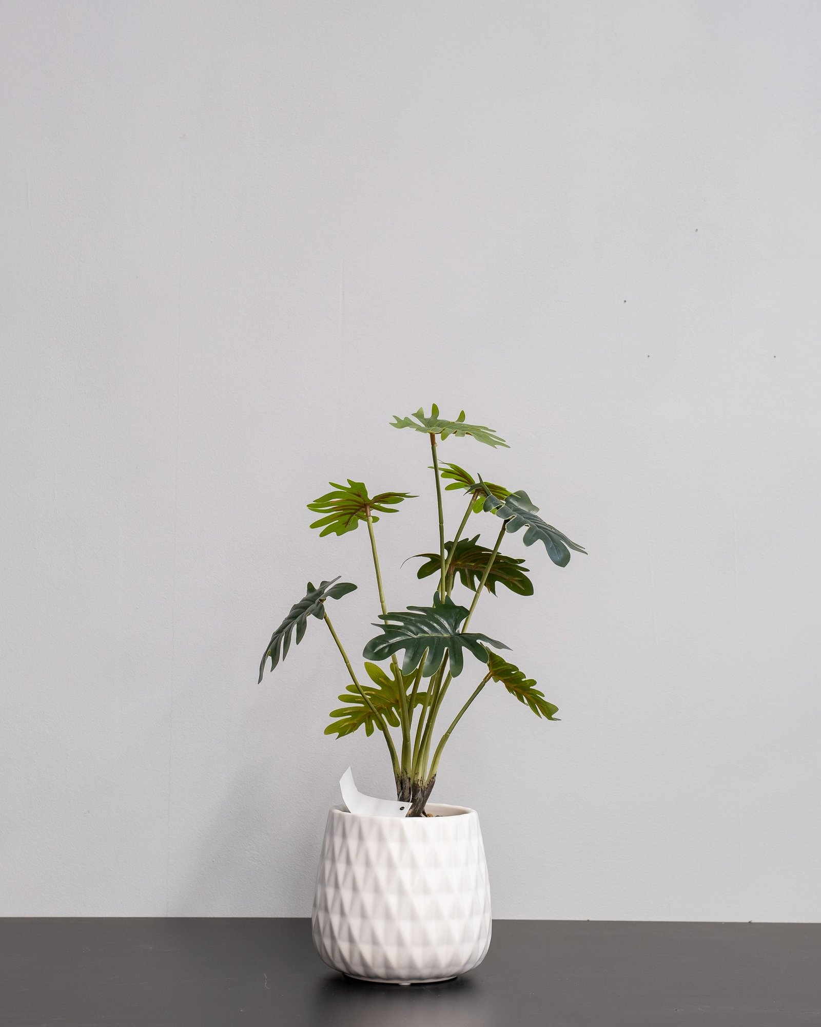Konstgjord Filodendron krukväxt med keramik kruka - 53 cm Höjd 3 Konstgjord Filodendron krukväxt