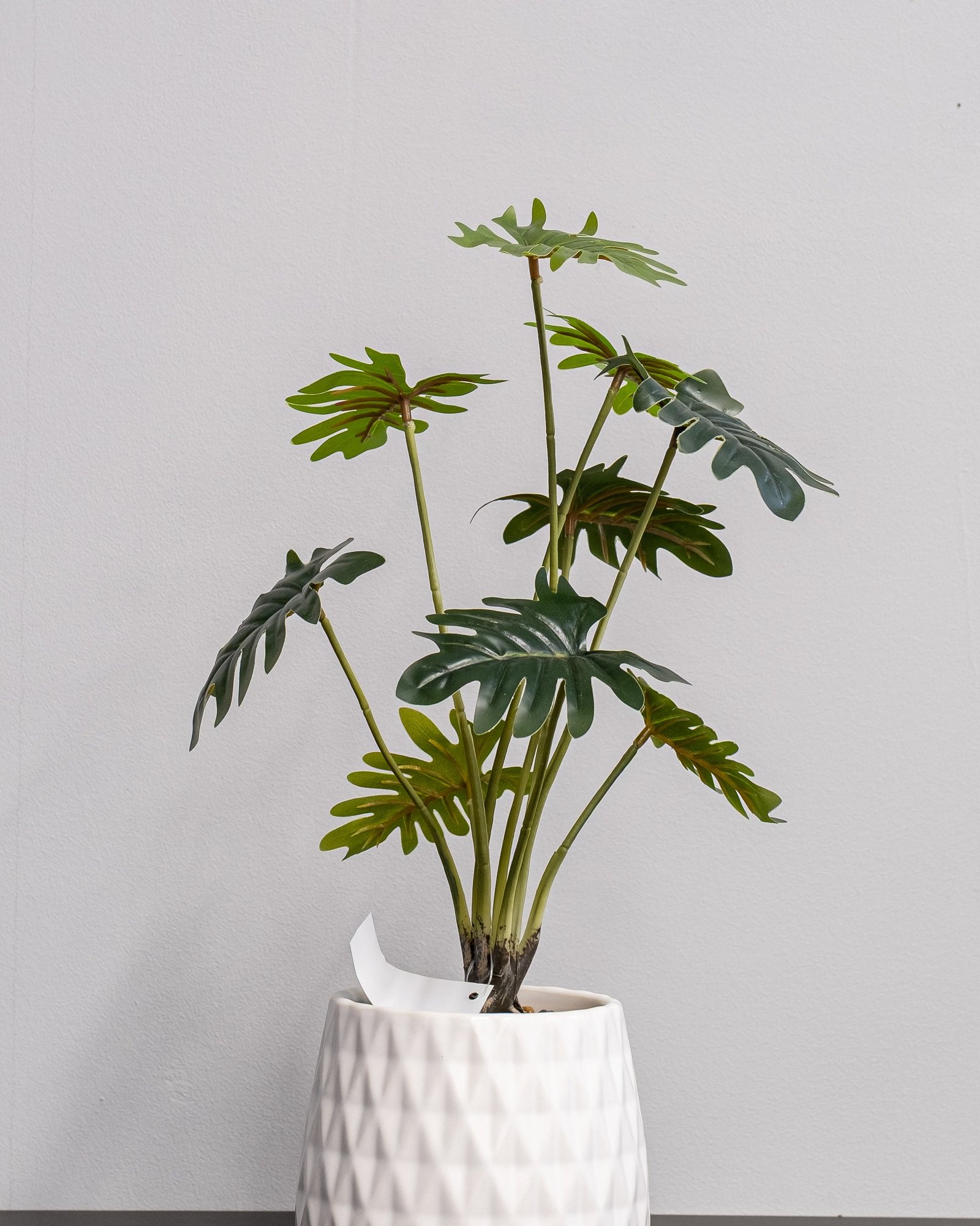 Konstgjord Filodendron krukväxt med keramik kruka - 53 cm Höjd 2 Konstgjord Filodendron krukväxt med keramik kruka - 53 cm Höjd - Bild 2
