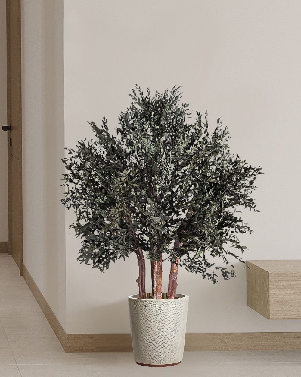 Konserverat Eukalyptusträd - Parvifolia – Buskträd – naturligt grönt utan skötsel 1 Konserverat Eukalyptusträd Parvifolia