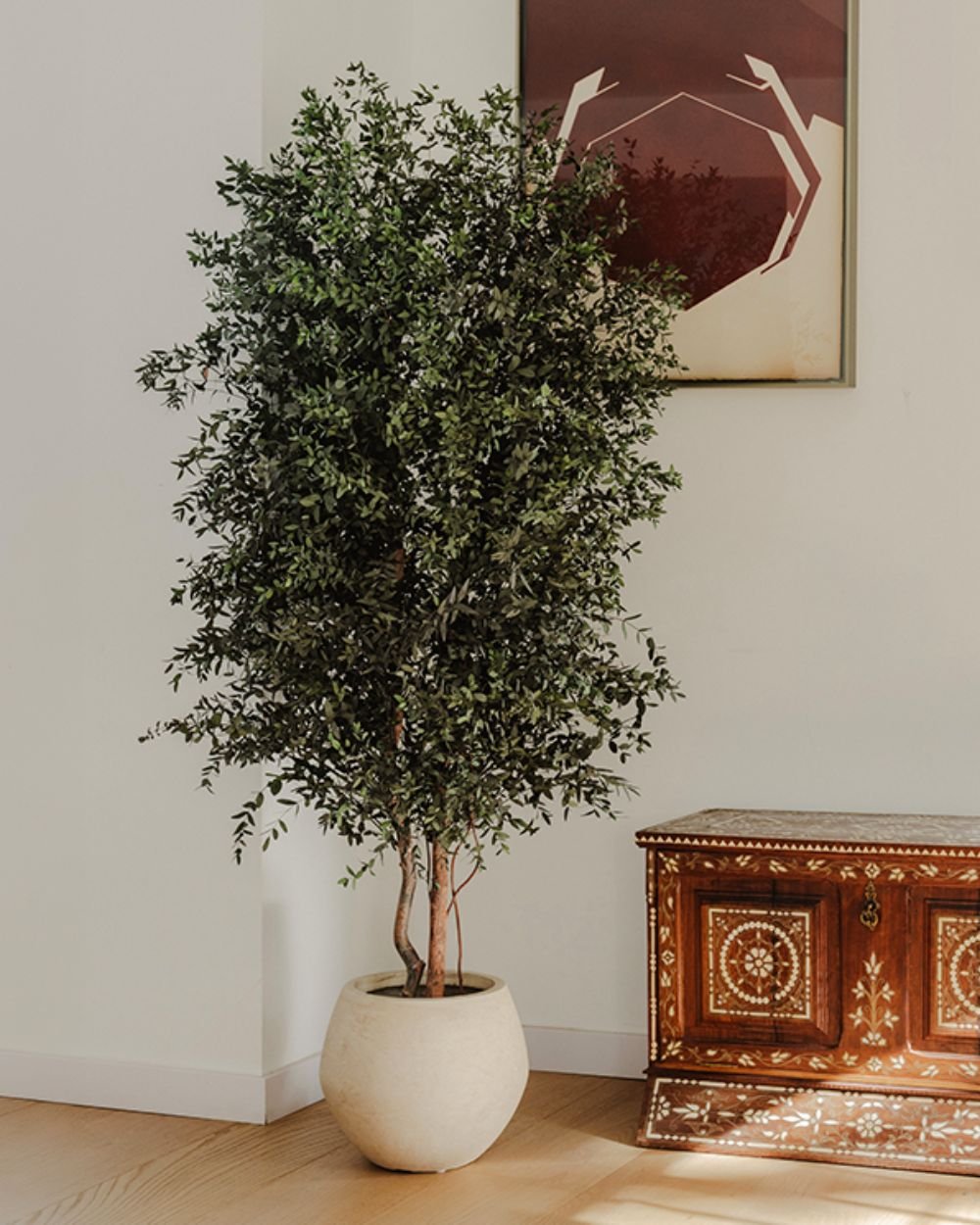 Konserverat Eukalyptusträd - Parvifolia – Slim – naturligt grönt utan skötsel 1 Konserverat Eukalyptusträd Parvifolia