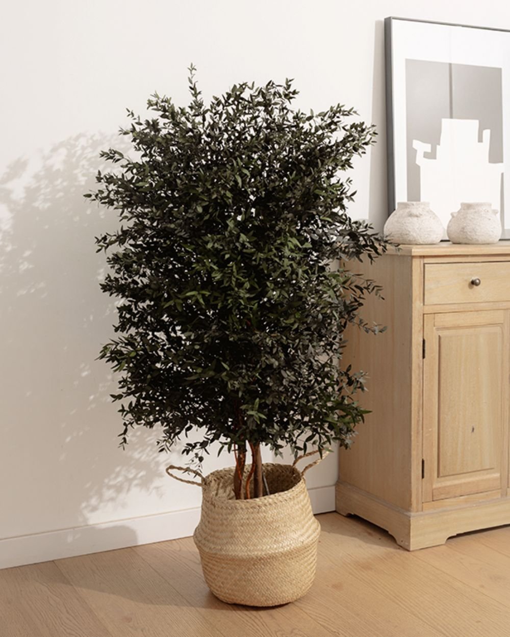 Konserverat Eukalyptusträd - Parvifolia – Slim – naturligt grönt utan skötsel 2 Konserverat Eukalyptusträd - Parvifolia – Slim – naturligt grönt utan skötsel - Bild 2